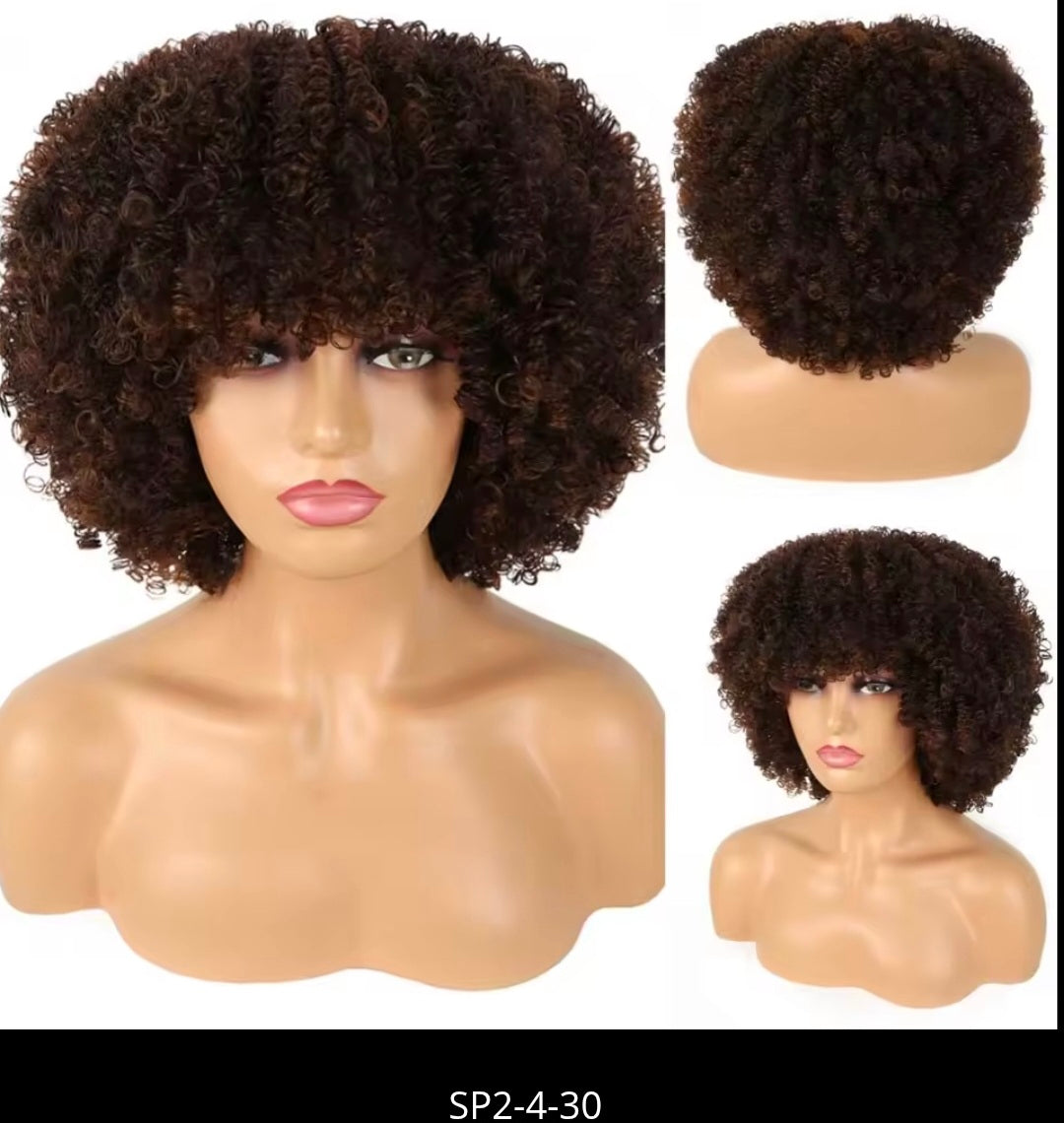 Alana beauty™ Synthetic Afro Loose Curly Wig with Bangs✨️