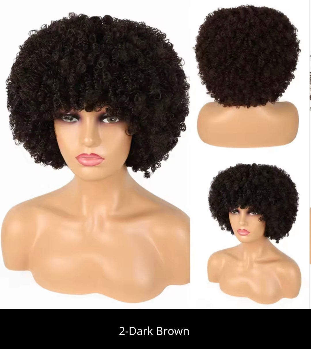 Alana beauty™ Synthetic Afro Loose Curly Wig with Bangs✨️