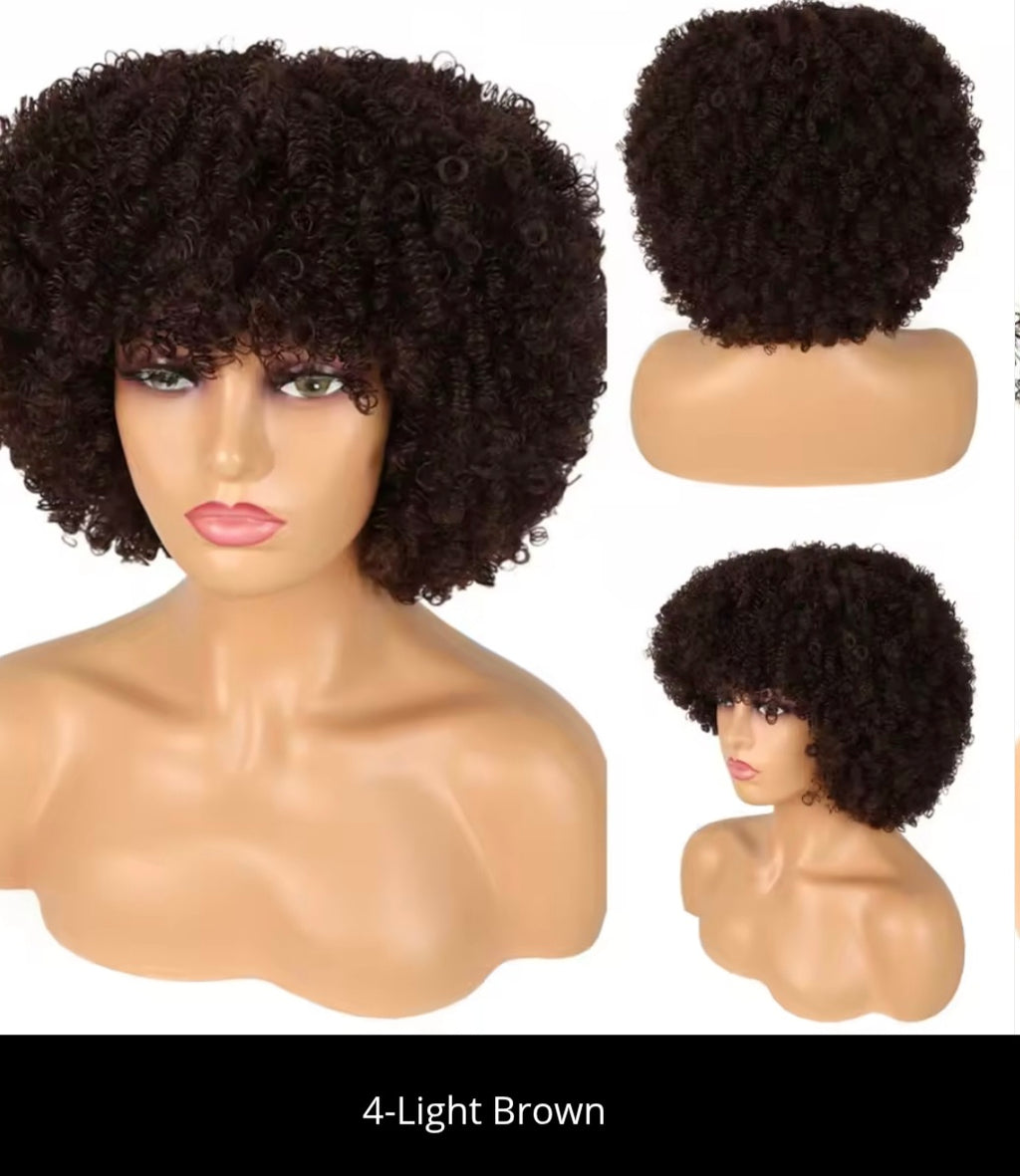 Alana beauty™ Synthetic Afro Loose Curly Wig with Bangs✨️